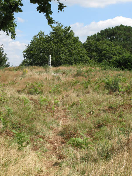 Tumulus du Moustoir Er Man&eacute;
